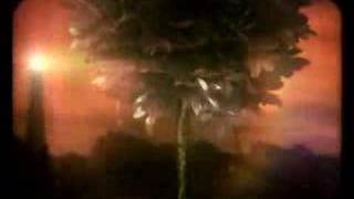 The Devlins - Waves [Official Music VIdeo]