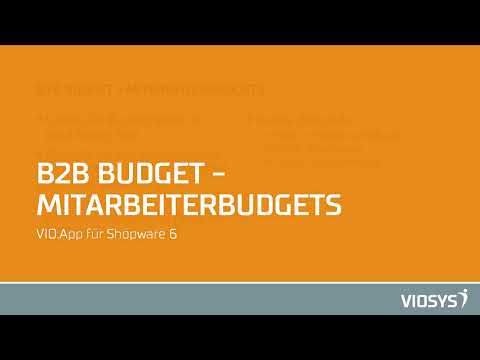 Budgetregeln für Mitarbeiter - B2B Budget App für Shopware 6