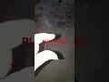 Pijat Plus