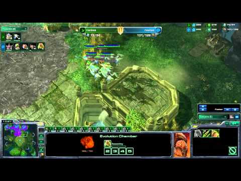 coL'Naniwa (P) vs IM'NesTea (Z) Game 2 - Starcraft 2 Pro Game [Blizzcon 2011]