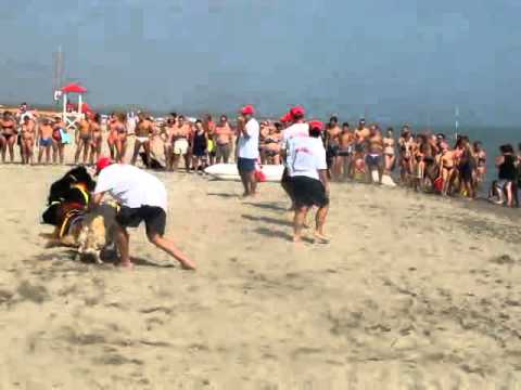 onda azzurra di ferrara_mpeg4.avi