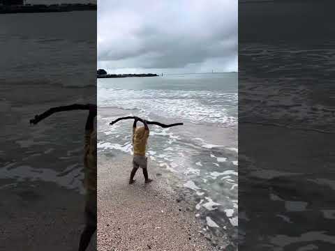 Gundu playing with a wooden stick in the beach
