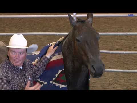 Colt Starting Principles (Part 1)