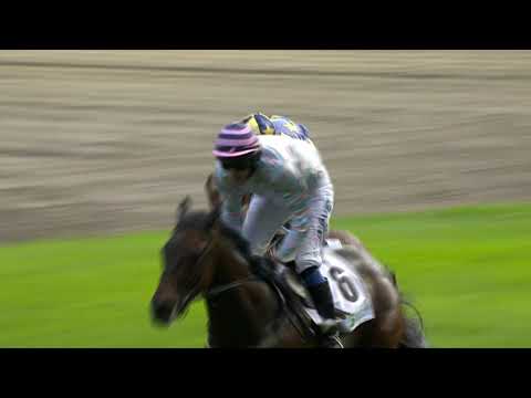 7. 8. 2021 - 8. dostih - Cena společnosti K-K METAL, a.s.