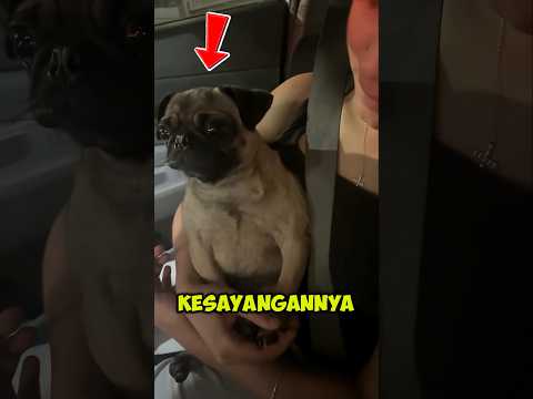 kepengen minuman favoritnya, tapi tidak di turuti ⁉️