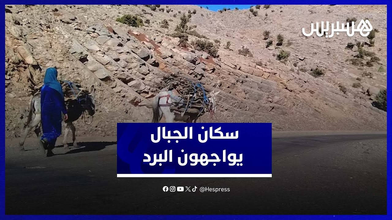 جمع الحطب وتحضير المدافئ.. استعدادات سكان الجبال لموجة البرد thumbnail