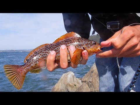 Day 3: Cooking Abalone. Fishing for Trout, Salmon and...