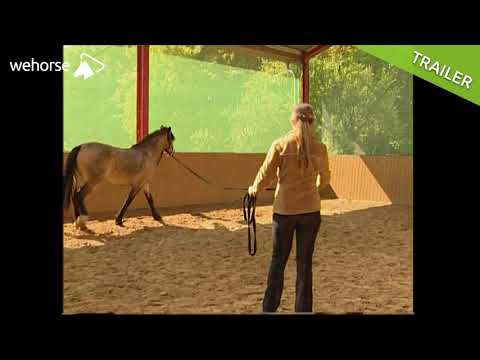 Richtig Longieren: Die Basics | Nathalie Penquitt