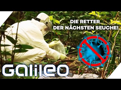 Die Suche nach Patient 0! Dem Virus auf der Spur? | Galileo | ProSieben