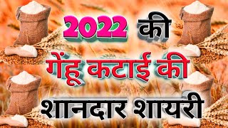 Download lagu 🌹गेहू की कटाई की शानदार शायरी 2022 | Gehu Ki Katai Special Shayri 2022 🥀| गेहू की कटाई शायरी |Poet🧡 mp3 Download lagu 🌹गेहू की कटाई की शानदार शायरी 2022 | Gehu Ki Katai Special Shayri 2022 🥀| गेहू की कटाई शायरी |Poet🧡 mp3