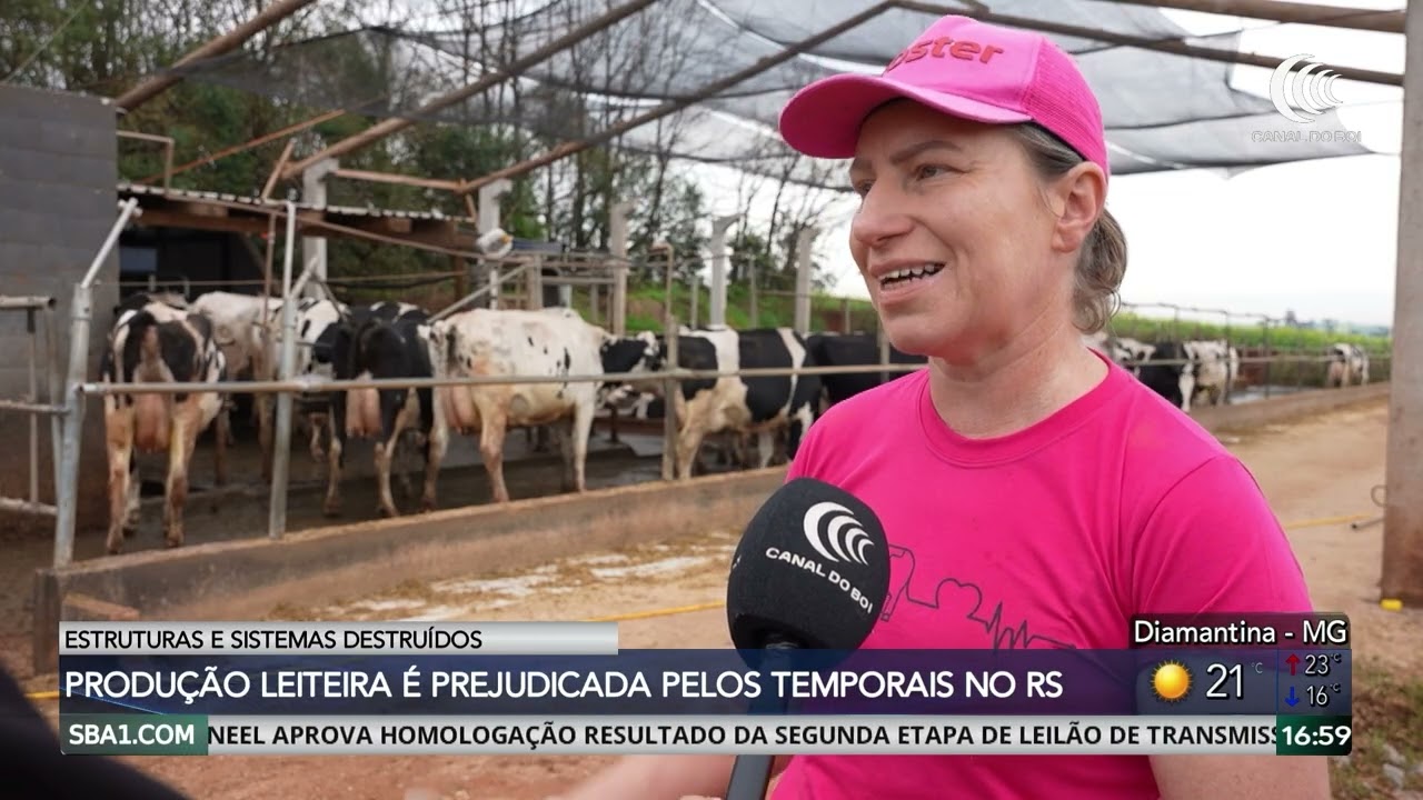 Temporal destrói estrutura e afeta produção de leite no RS