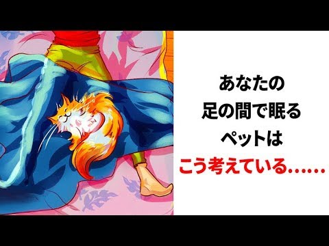 立ったまま寝る動物 - その方法と例