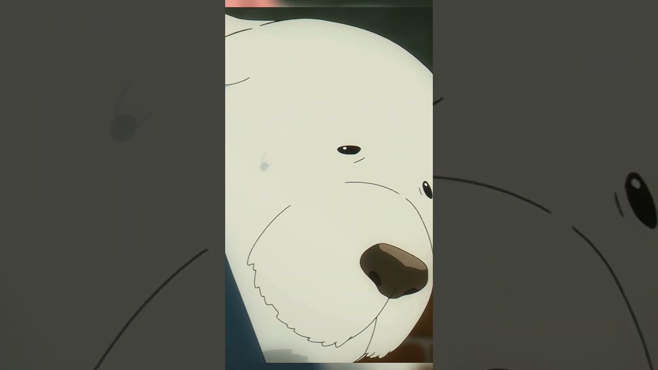 Watch Now Que cachorro ligeiro 🏃🏃 | Spy X Family (dublado) 🇧🇷 #shorts Que cachorro ligeiro 🏃🏃 | Spy X Family (dublado) 🇧🇷 #shorts