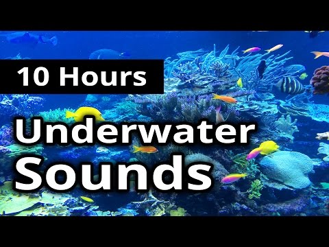 UNDERWATER Sounds for 10 hours ★ Sleep ★ Relaxation ★ Meditation
