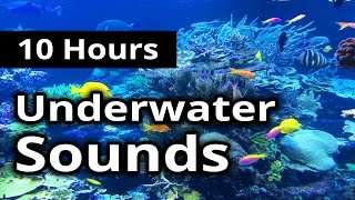 UNDERWATER Sounds for 10 hours ★ Sleep ★ Relaxation ★ Meditation