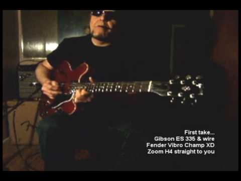 Bill Berends - 335 Strings On Fire