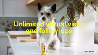 Dutch Affordable vet care that is always there