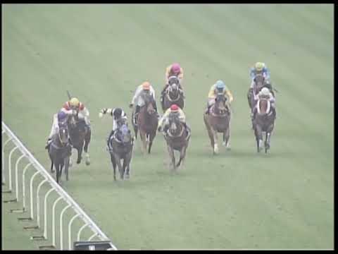 2019-01-19 Race 6(0132) - THE HUNAN