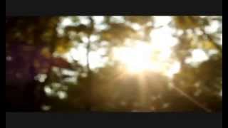 Toro y Moi - Freak Love (Unofficial Video)