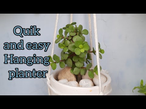 DIY/1Minute Hanginng Planter/Quick And Easy/Hanging Pot with Rope/Rakhi Terrace garden 🙏
