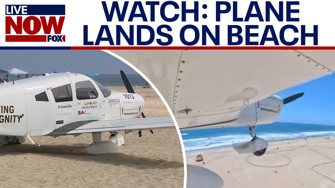 WATCH: Small plane makes emergency landing on California beach