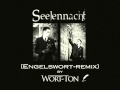 Seelennacht - In der Ferne (Engelswort Remix by ...
