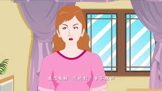Phim hoạt hình hay nhất, Phim hoạt hình