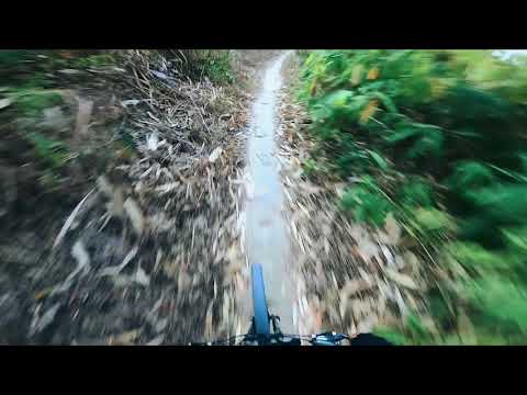 Bergamont revox MTB Zo kawng