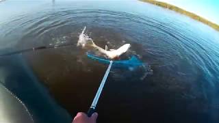 Рыбалка в караганде весной