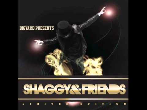 I'm Sorry - Shaggy feat. Qwote