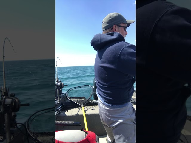 Vídeo relacionado con Shurhome Dipsy Diver - Diver - Diver - Diver - Discos de buceo (45/57 mm de diámetro, accesorios de pesca de calidad marina)