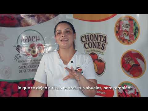 Mejores Proveedores de Paz: El Tambo, Cauca