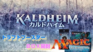 【ＭＴＧ】カルドハイム　ドラフトブースターＢＯＸ開封‼　～天使か…エンチャントレスか…～