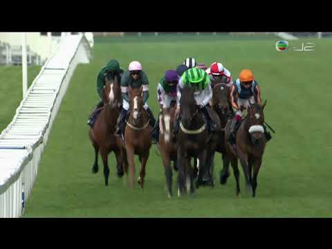 2020 Queen Alexandra Stakes - Who Dares Wins (我敢贏) - T.Marquand