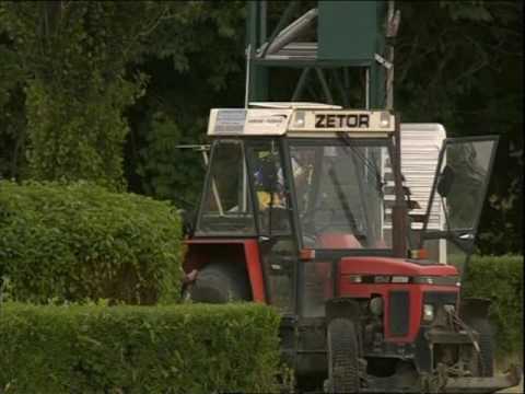 Rennverein Dresden - 17.06.2017 - 4.Rennen