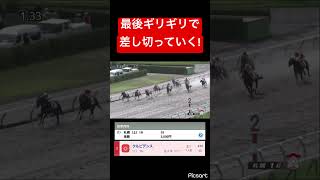 【1番興奮する展開】最後ギリギリで差していく！ #競馬