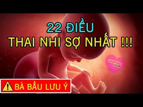 , title : '22 Điều Thai Nhi Sợ Nhất Bà Bầu Cần Biết Khi Chăm Sóc Thai Nhi [GiupMe.com]'