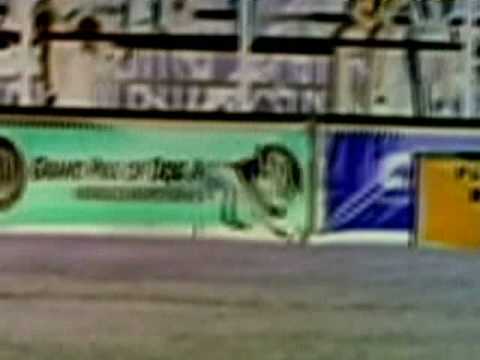 Introducing WallaceThePitBull.com