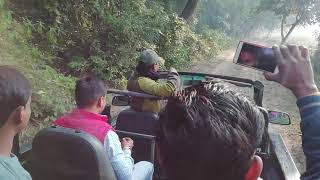 preview picture of video 'Dudhwa National Park Ki Trip'
