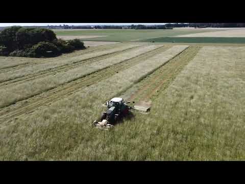 Heuwetter Heuernte 2022 Fendt 828 Vario mit Krone Easy Cut B 870 CV