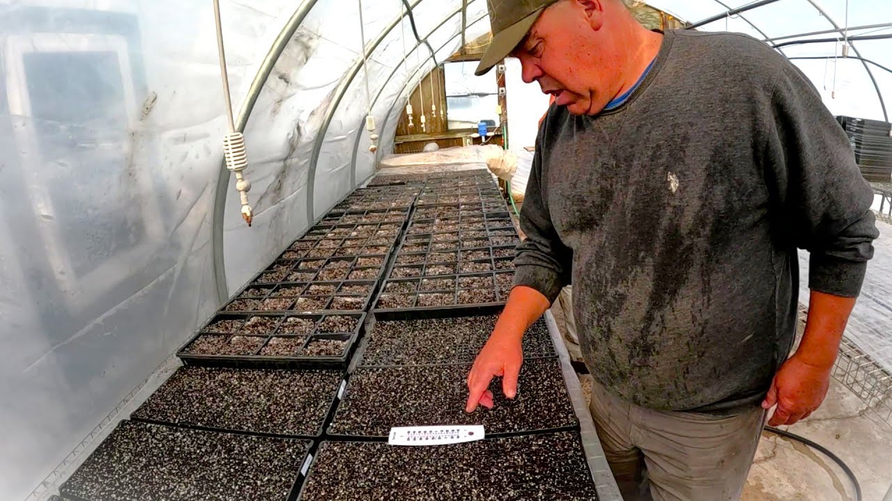 We seeded THOUSANDS of plants, but are they growing?