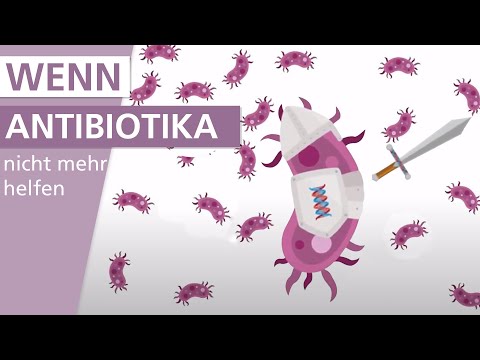 Wie werden Bakterien gegen Antibiotika resistent?