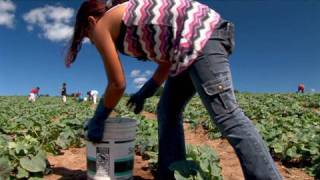 Fingers to the Bone: Child Farmworkers in the US
