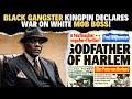 The UNTOLD STORY of Bumpy Johnson | Rise of the Harlem Godfather!