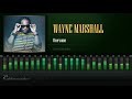 Wayne Marshall - Overcome (Diwali Riddim) [HD]