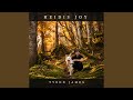 Heidis Joy (Orchestral Version)