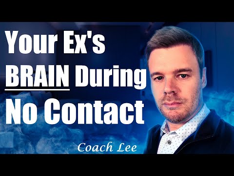 Your Ex's Brain During No Contact Rule