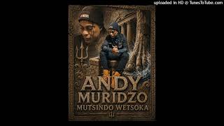 Download lagu Andy Muridzo-Mutsindo wetsoka( official audio) mp3