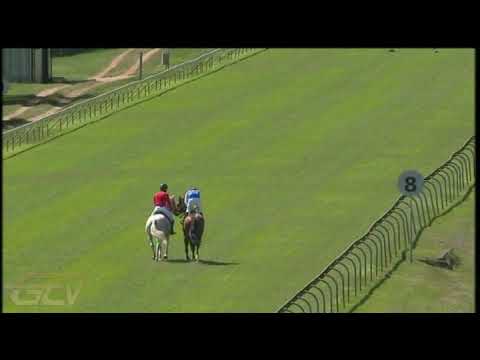 20210331 Hollywoodbets Scottsville gallop RIO QUERARI