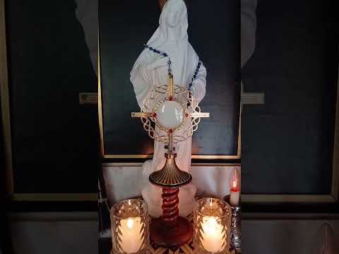 Adoracion Al Santisimo Sagramento del Altar con el Padre Fabian Esteban Oliva. 15/08/26